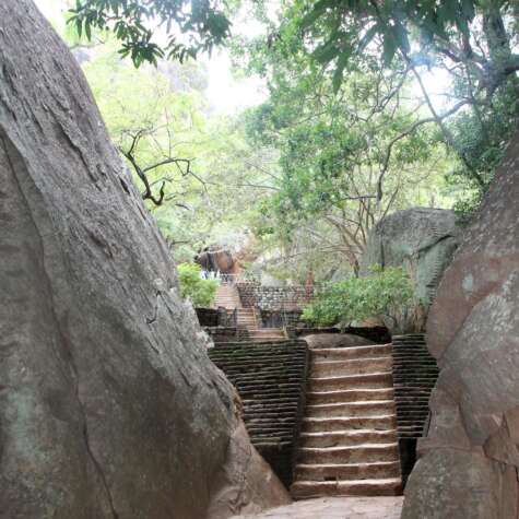 Weg zum Lion Rock