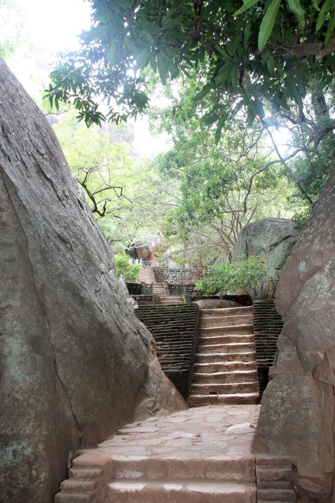 Weg zum Lion Rock