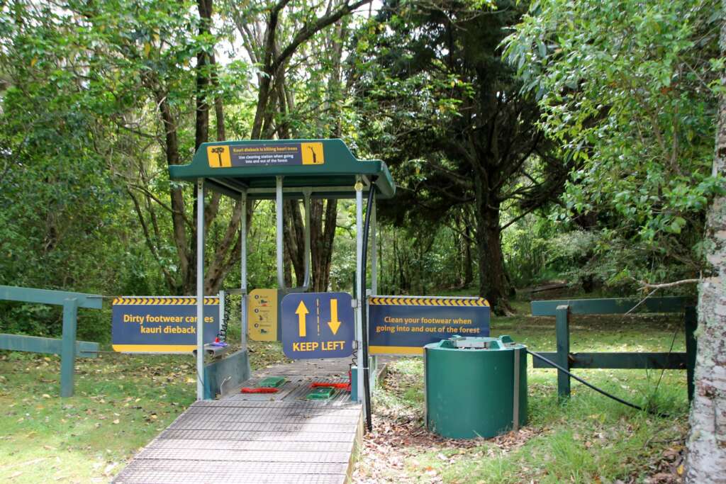 Hygiene Station vor Kauri Wald