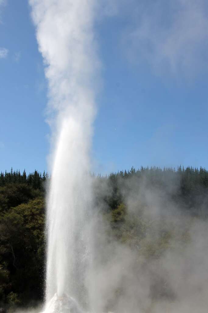 Lady Knox Geyser