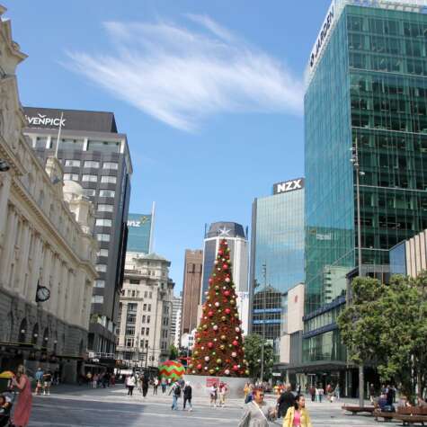 Christbaum Auckland